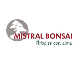 mistral bonsai